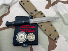 Load image into Gallery viewer, Spartan Blades Spartan Harsey Dagger FDE/Tan kydex sheath